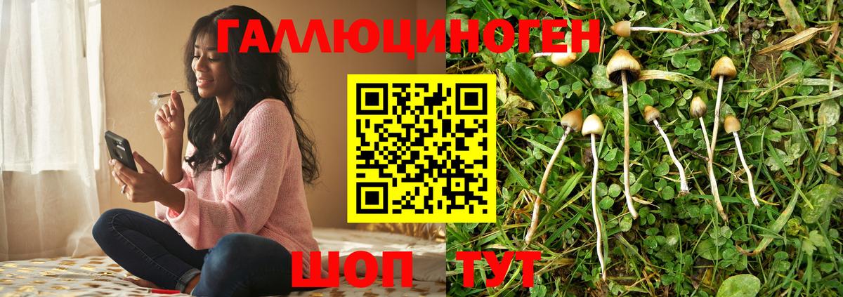 закладка  Галлюциногенные грибы GOLDEN TEACHER  Сибай  Вход с VPN  Псилоцибиновые грибы мухоморы 