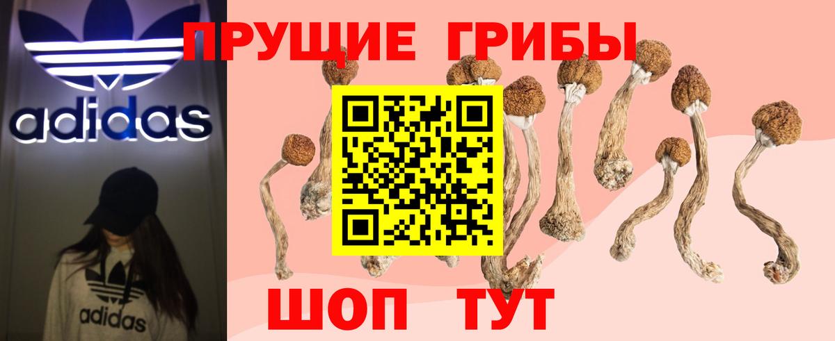 Галлюциногенные грибы MAGIC MUSHROOMS Сибай